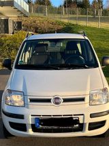 Fiat Panda Benzin und Gas (Cng) Kombi - Fiat Panda: Kombi