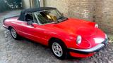 Alfa Romeo Spider  2.0/ auch sehr gute Hohlräume Karosserie - gebrauchte Alfa Romeo Spider aus dem Jahr 1985