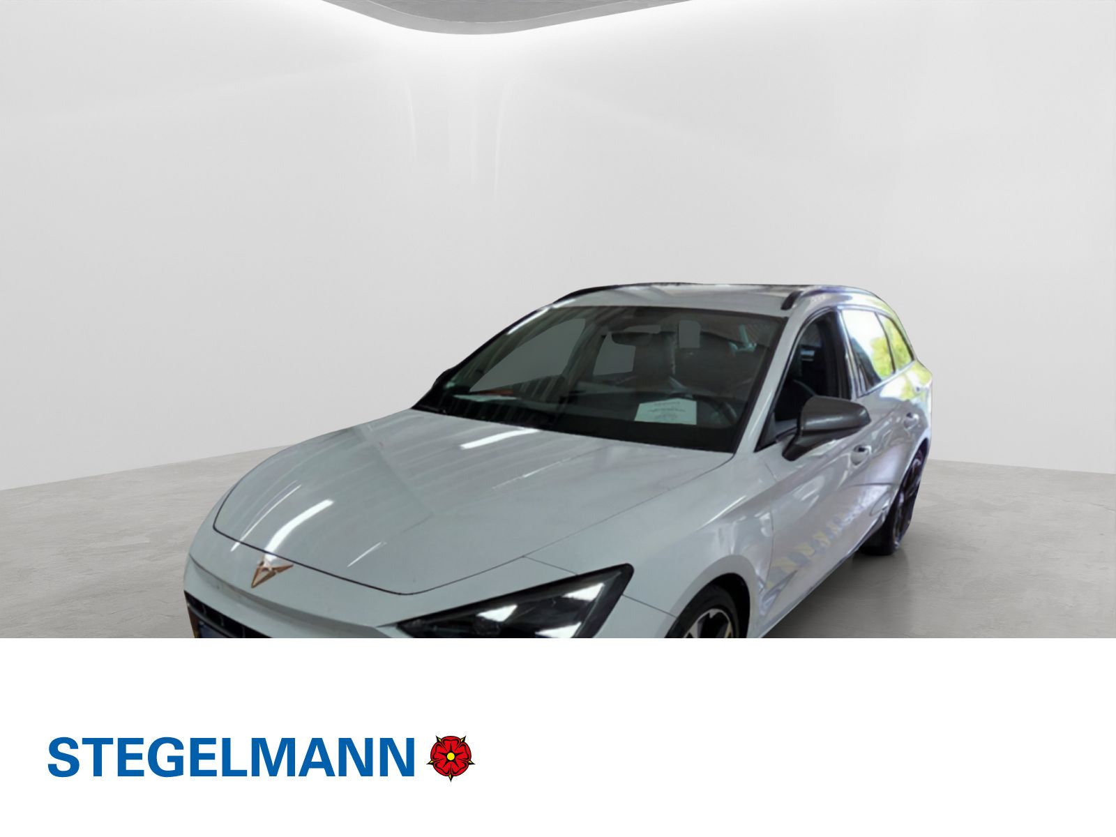 Cupra Leon Sportstourer 2.0 TDI DSG Matrix*AHK*Navi