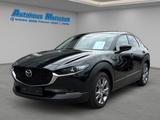 Mazda CX-30 Takumi SKY.-G 140 HUD Navi Leder Soundsyst - Mazda CX-30 Takumi mit Benzin-Antrieb