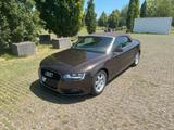 Audi A5 1.8 TFSI Cabriolet / Cabrio - : Braun, Beheizbare Frontscheibe, Cabrio