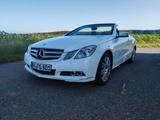 Mercedes-Benz Cabriolet E 250 CDI BlueEFF. AVANTGARDE  Sommerf - Mercedes-Benz E 250: Cdi Avantgarde