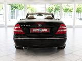 Mercedes-Benz CLK 320 Cabrio Autom.*Nur 106TKM*Leder beige* - Mercedes-Benz CLK 320 Gebrauchtwagen