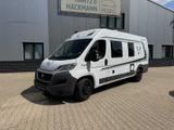 Weinsberg CaraBus Turin "SOLAR/AHK/2xMAXXFAN" - Carabus