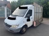 Mercedes-Benz Sprinter Kasten 313 CDI lkw Kasten - Mercedes-Benz Sprinter aus 2001: Kleinbus
