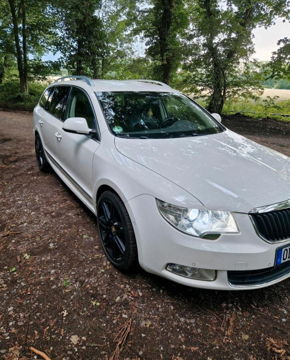 Skoda Superb 2009 — rear view
