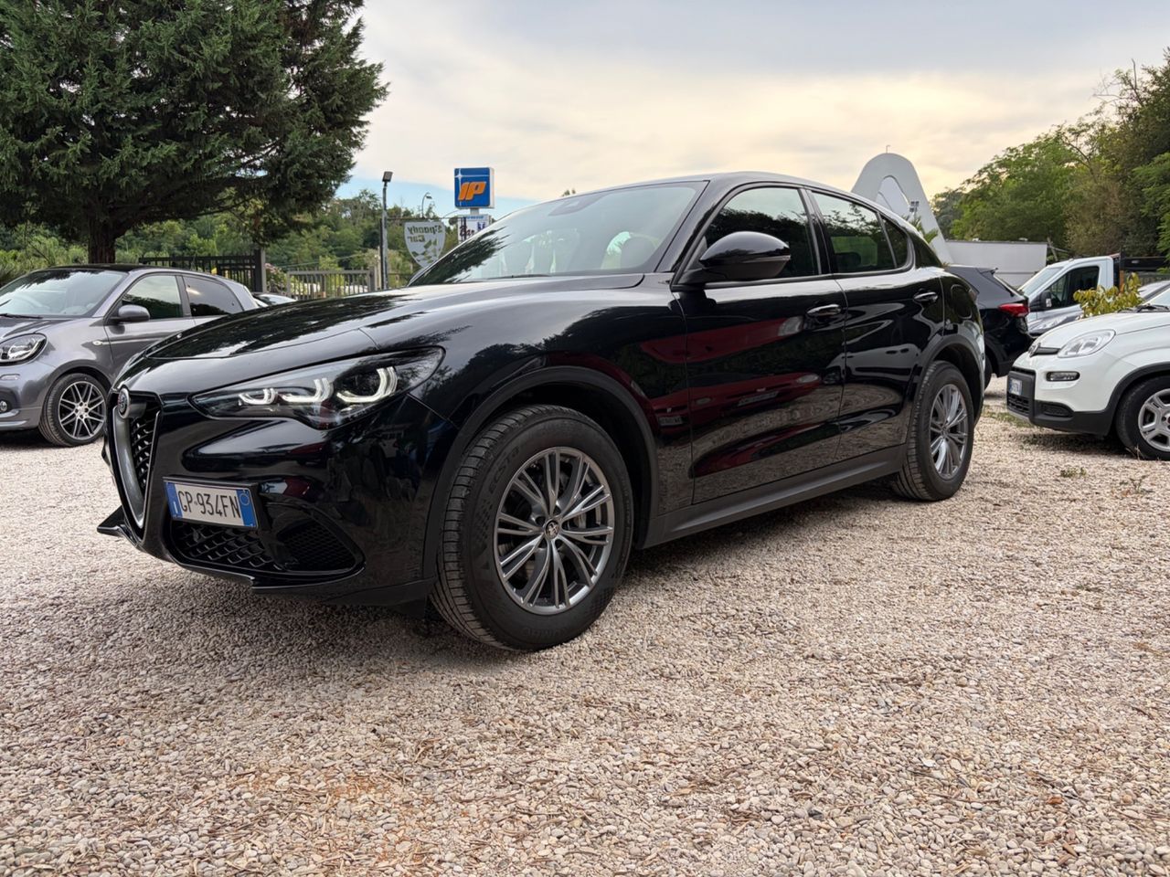 Other Alfa Romeo Stelvio 2.2 Turbodiesel 210 CV AT8 Q4