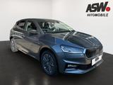 Skoda Fabia Tour 1,0 TSI 95PS 16" SHZ Kamera PDC LED - graue Skoda Fabia