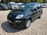 Fiat Panda | 5 Sitzer | Radio | PDC | Tempomat - Fiat Panda: Sitzer