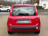 Fiat Panda, Servo, Klima, SEHR GEPFLEGT - Fiat Panda: Rot