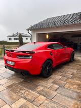 Chevrolet Camaro 3.6L V6 *ZL1-Optik* 50th Anniversary  - Chevrolet Camaro: Zl1