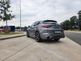 Alfa Romeo Stelvio 2.0 Turbo 16V 206kW Ti AT8-Q4 Ti - Alfa Romeo Stelvio aus 2021