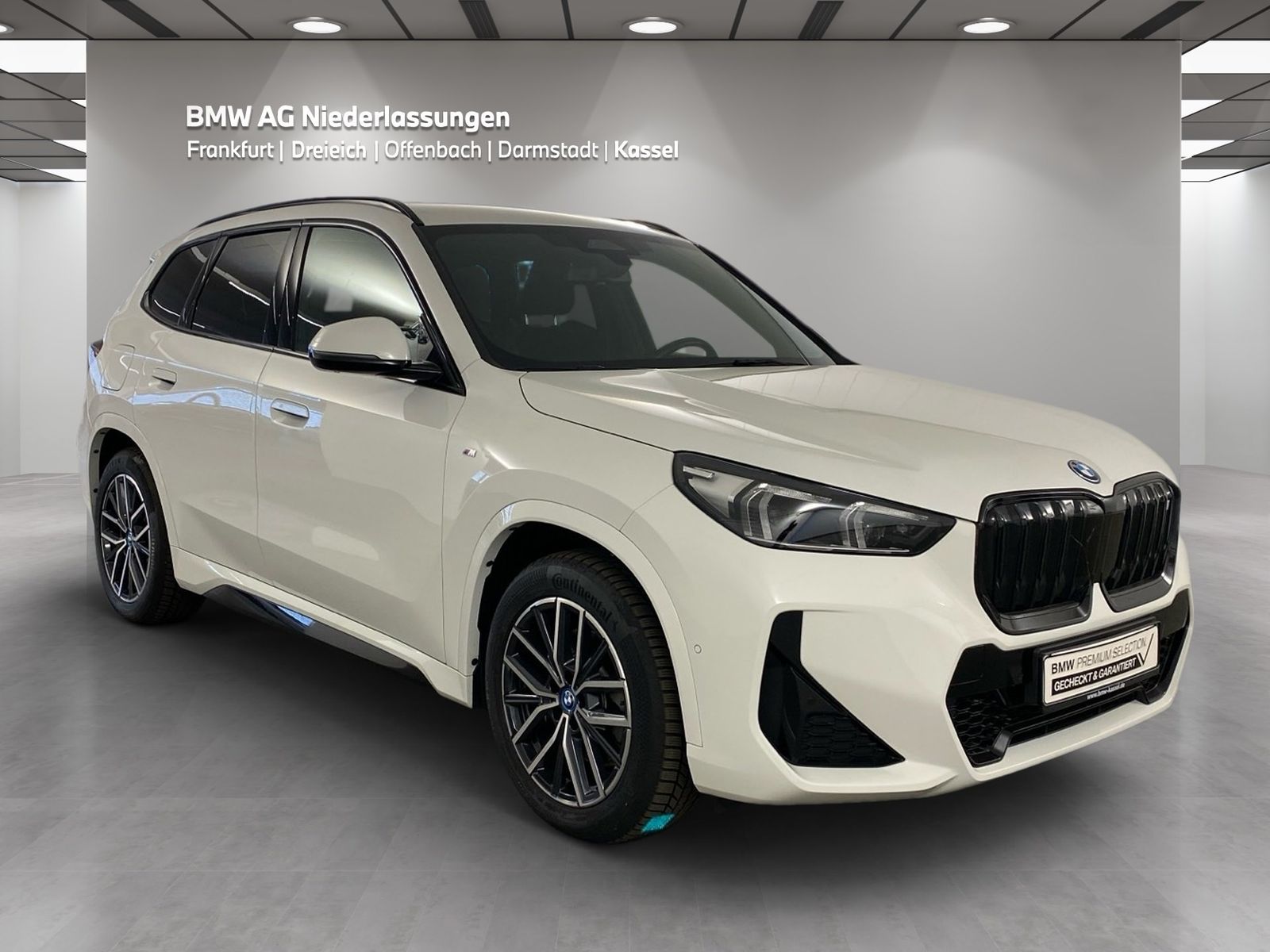 BMW iX1 xDrive30 M Sport Kamera Driv.Assist LED foto 2