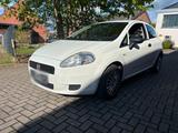 Fiat Punto *TÜV Neu* - Fiat Punto in Bremen