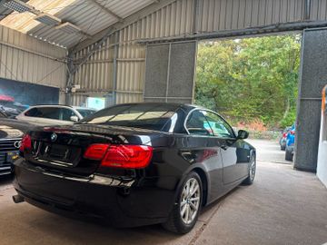 BMW 320 - 5