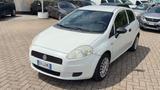 Fiat FIAT Punto III 2012 1.2 Easy 3p - Fiat Punto mit Benzin-Antrieb: Easy