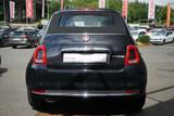 Fiat 500C 1.0 mHev Dolcevita Navi PDC Tempomat - Fiat 500C aus 2022
