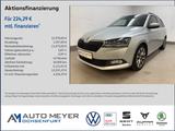 Skoda Fabia Combi Ambition Clever 1.0 TSI Navi Bluetoo - Skoda Fabia: Leder