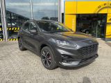 Ford Kuga Plug-In Hybrid ST-Line X 2.5 Panoramadach-  - Ford Kuga: Panoramadach