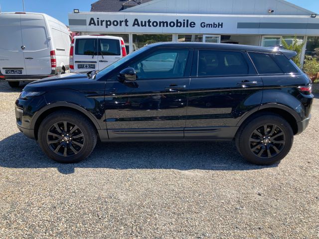 Land Rover Evoque SE,Black Edition,Panorama,Leder,Navi