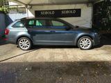 Skoda Octavia 1.4 TSI Combi Joy/1.Hd/Klima/Sitzh/Bluet - Skoda Octavia: Joy