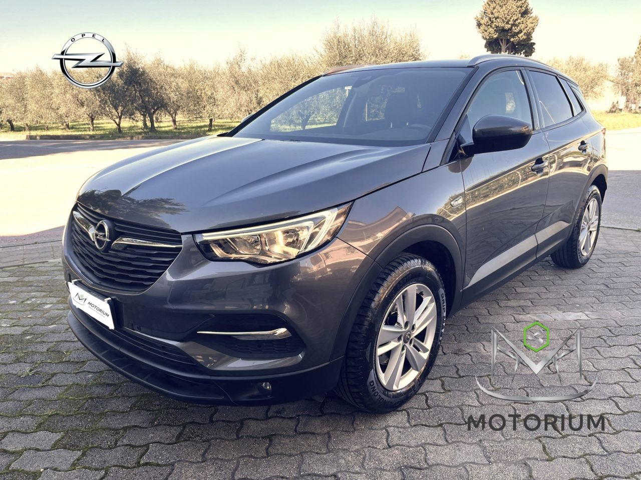 OPEL Grandland X