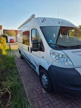 Fiat Ducato professioneller Ausbau (wie Pössl o.ä.) - Fiat WC