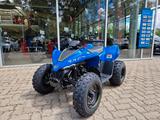 CFMOTO CFORCE 110 - Kinder / Junior Quad - CFMOTO CFORCE 110