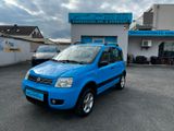 Fiat Panda 1.2 Climbing 4X4 überholter Motor bei 160t - Fiat Panda: Allradantrieb