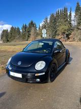 Volkswagen Beetle 1.6 Capriolet - Volkswagen Beetle aus 2008: Cabrio