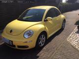 Volkswagen Beetle 1,4 l 100.000 KM 1. Hand - gebrauchte VW Beetle aus dem Jahr 2009