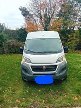 Fiat Ducato  Kastenwagen - Fiat Ducato: Kastenwagen