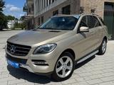 Mercedes-Benz ML 350 CDI BlueTec *AHK*RÜCKFAHRK*ELEKTRSITZ* - Mercedes-Benz ML-Klasse Gebrauchtwagen in Hamburg