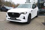 Mazda CX-60 Plug-In PHEV 327ps Aut. AWD Homura Plus - Mazda CX-60 mit Panoramadach