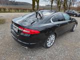 Jaguar XF 5.0 V8 Leder SHZ Kamera Navi - Jaguar: 8