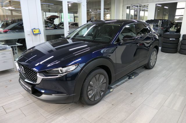 Mazda CX-30 >2025< / e-SKYACTIV 140 Homura Voll-LED