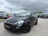 Fiat Punto Pop 1,2 - Fiat Punto in Ludwigshafen
