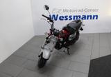 Honda Dax 125 ST125 125er Deal Days