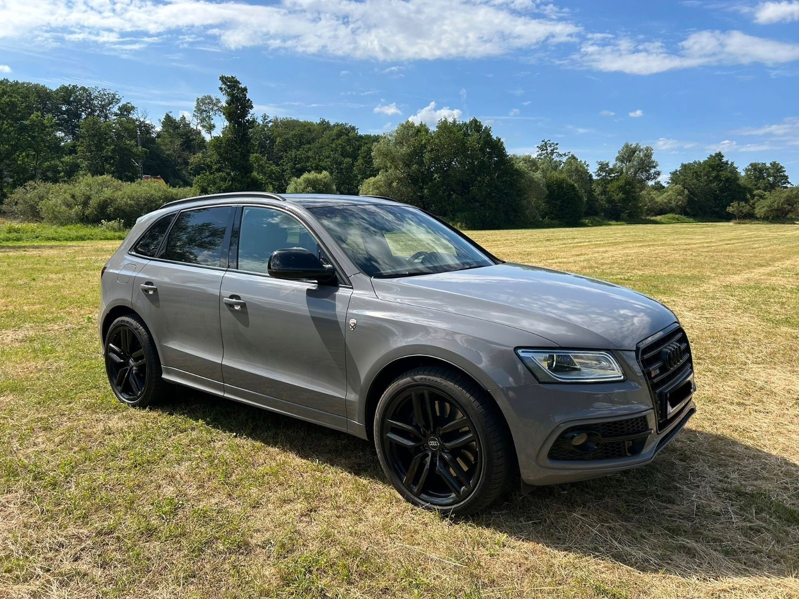AUDI SQ5 3.0 TDI competition tiptronic quattro -