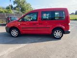 Volkswagen Caddy Life Gewinner Caddy AHK - Volkswagen Caddy: Gewinner