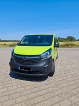 Opel Vivaro - Opel Vivaro: Grün