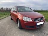 Volkswagen Polo 1.6 (TÜV 01/28) - Volkswagen Polo aus 2006: 1.6