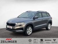 Skoda Karoq - Vorschau Bild 1