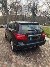 Mercedes-Benz 200 - Mercedes-Benz 220: Sitzheizung