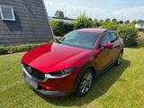 Mazda CX 30 AWD 150PS - Mazda Gebrauchtwagen in Lübeck
