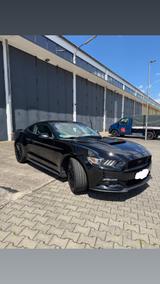 Ford Mustang GT 5.0 Grail H-Pipe - Ford Mustang: 5.0