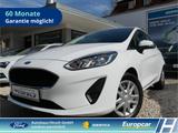 Ford Fiesta Trend 1.0 EcoBoost Berganfahrass. Kollisi