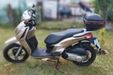 Kreidler Martinique  - Offers matching your search criteria