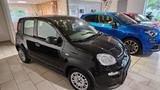 Fiat Panda Base - Fiat Panda Gebrauchtwagen in Bremen