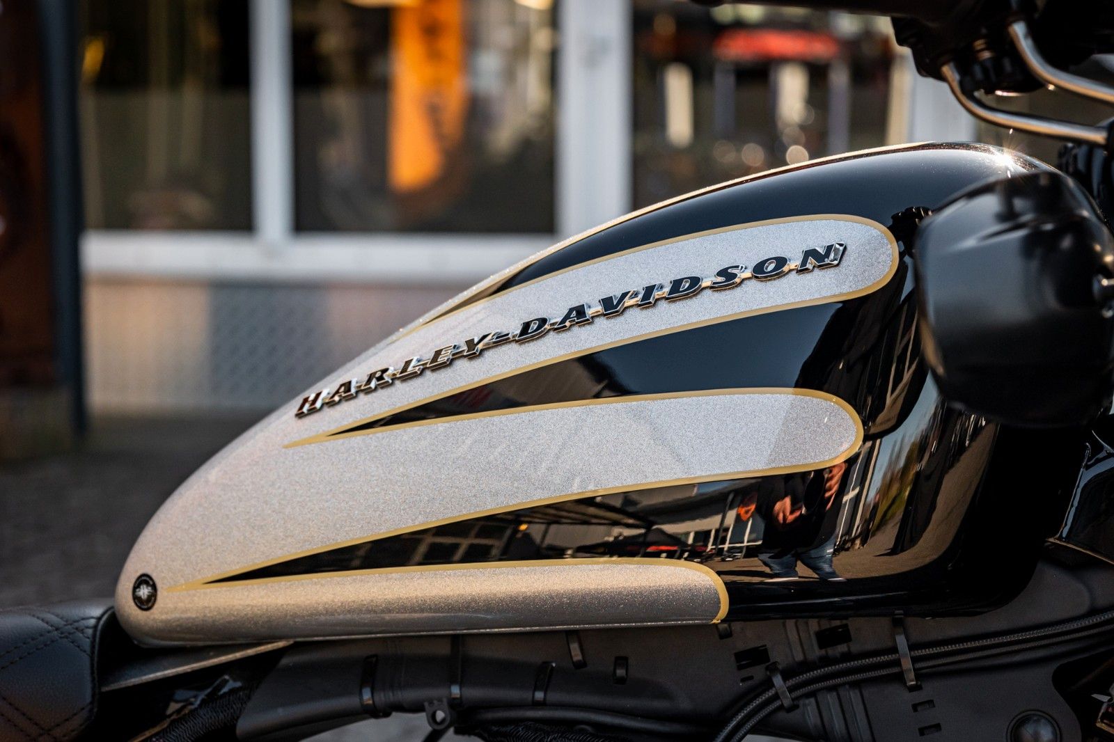Fahrzeugabbildung Harley-Davidson XL1200X SPORTSTER FORTY-EIGHT - Remus -